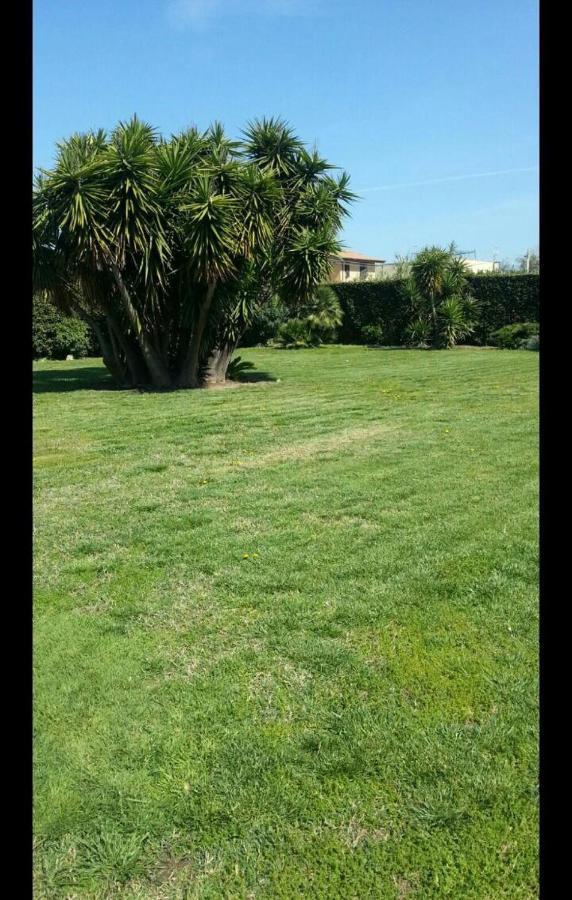 شقة Garden Basement - Seminterrato Max 4 Ospiti - Fiumicino Vicino Aeroporto E Fiera المظهر الخارجي الصورة